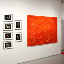 Load image into Gallery viewer, X INDIXIA: GIORGIO BEVIGNANI
