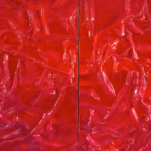 Load image into Gallery viewer, X INDIXIA: GIORGIO BEVIGNANI